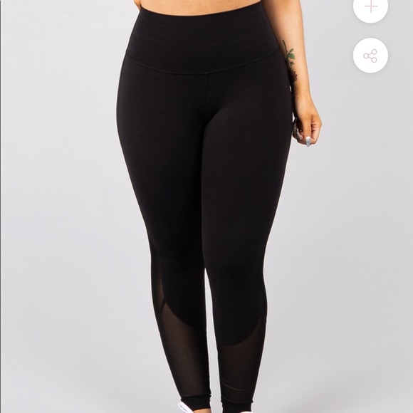 Buffbunny Collection Other - Buffbunny Spicy Leggings